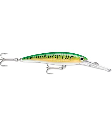 Amazon.co.jp: ラパラ Rapala X-Rap Magnum 40 イカダイブ XRMAG40HDSQ